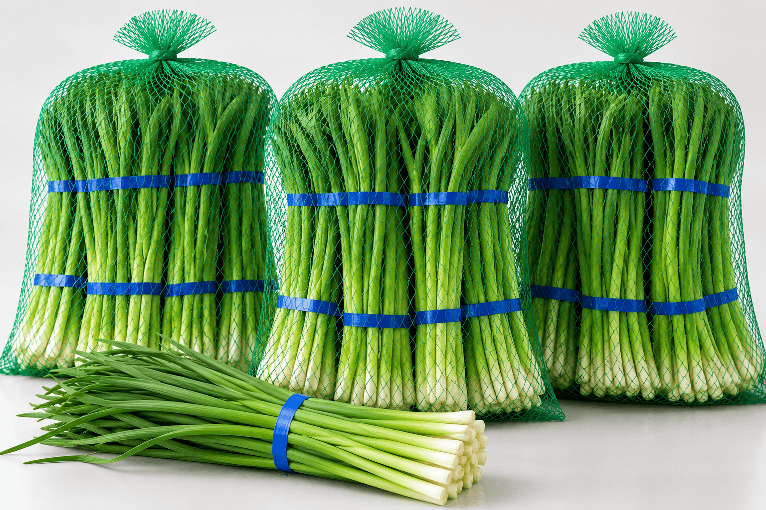 Fresh Garlic Shoot